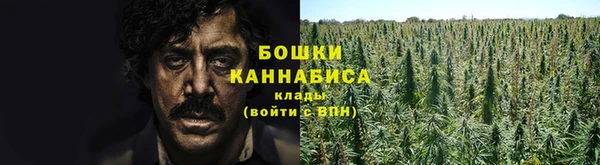 ПСИЛОЦИБИНОВЫЕ ГРИБЫ Зерноград