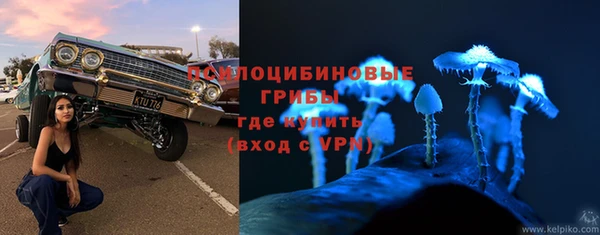2c-b Балахна
